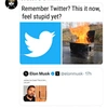 Ice Cube Claps Back at Elon Musk Over Tweeted Meme