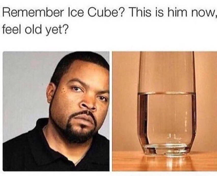 Elon Musk's funny Ice Cube meme