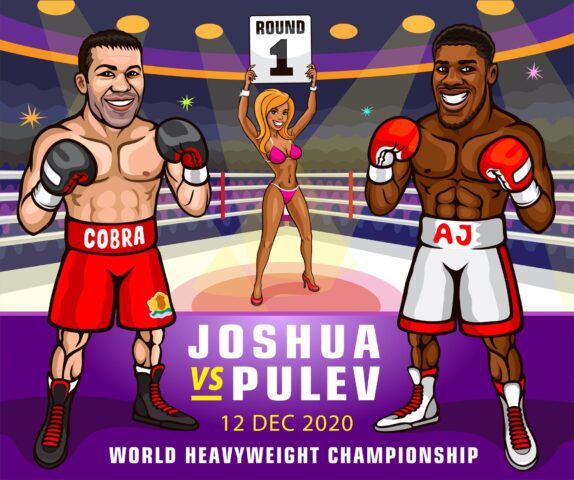 Who is Joshua's next opponent in 2020