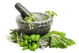 Importance of African Traditional Medicines