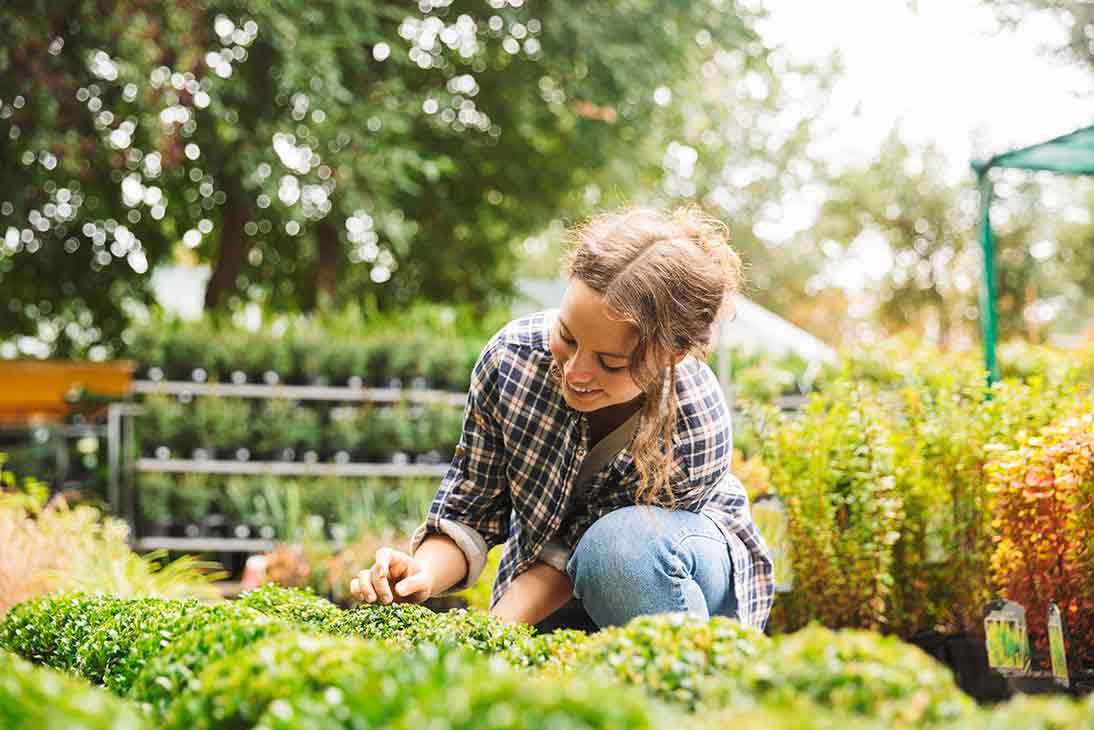 crops you can grow your home garden